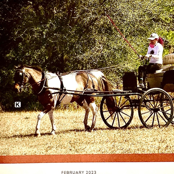 Meet your Posher, Su - Picture 3 of 3